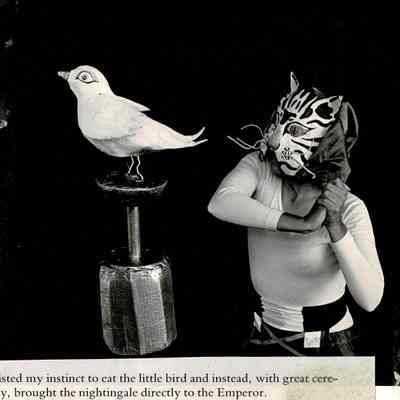 Print, Photographic