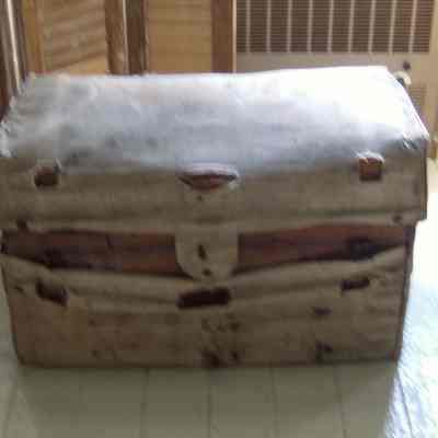 Trunk