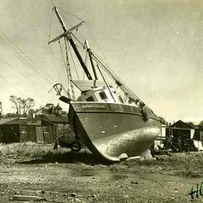 Boats washed up on shore