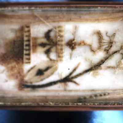 Ring, Mourning