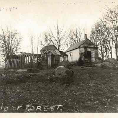 Maid of Forest