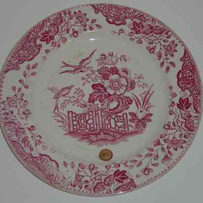 Plate, Salad