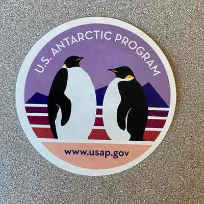 USAP Penguin sticker