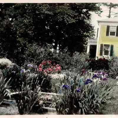 Print, Photographic