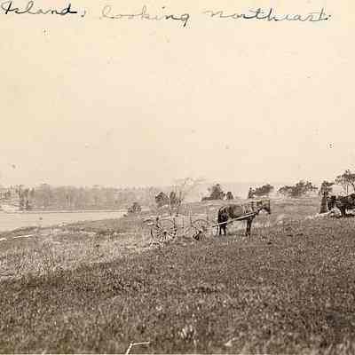 Ledward/Elihu Island, looking northeast, Stonington CT