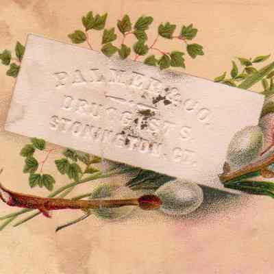 Palmer & Co. Trade Card