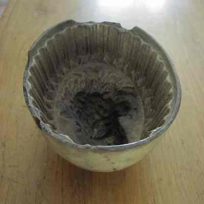 Mold, Pudding