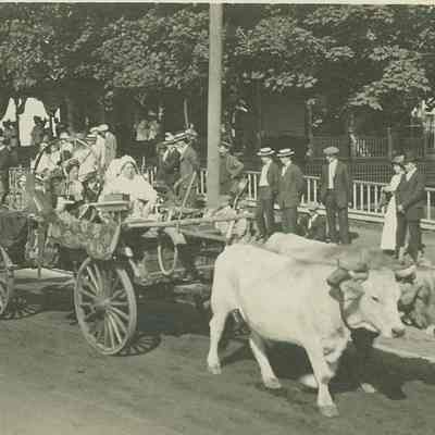 Wheeler family with oxcart and spinning wheeel