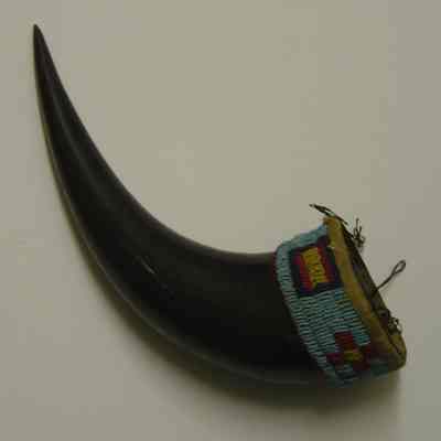 Horn