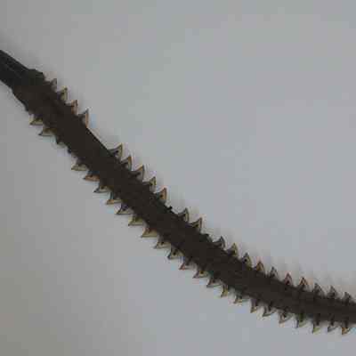Sword