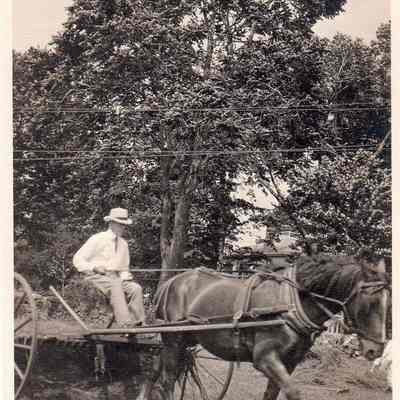 Print, Photographic
