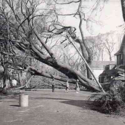 1938 Hurricane