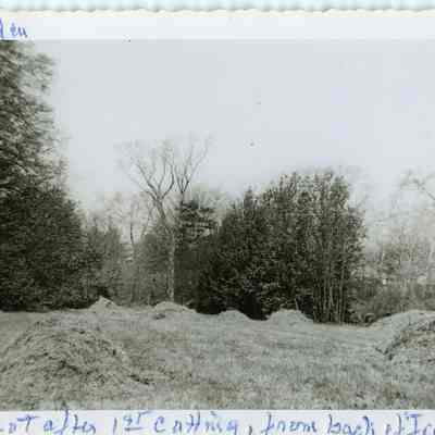 North Lot after first cutting