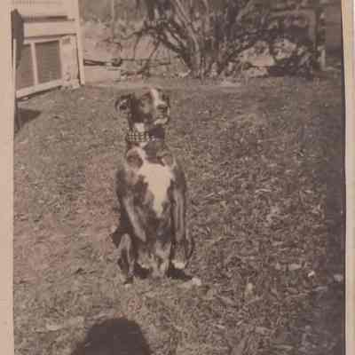 Print, Photographic