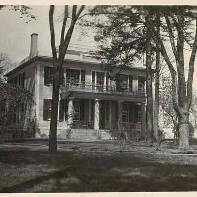 Print, Photographic