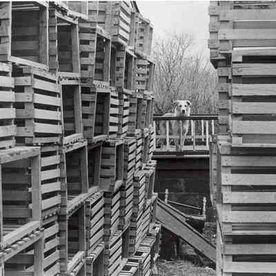 20 Diving Street with lobster pots, Stonington CT
