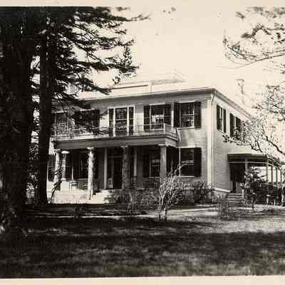 Print, Photographic