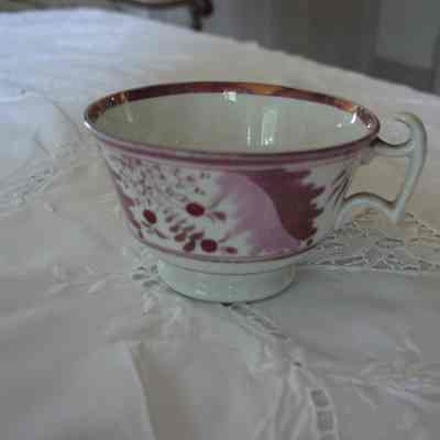 Teacup