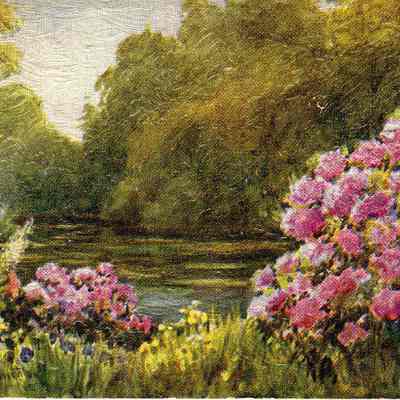 Postcard
