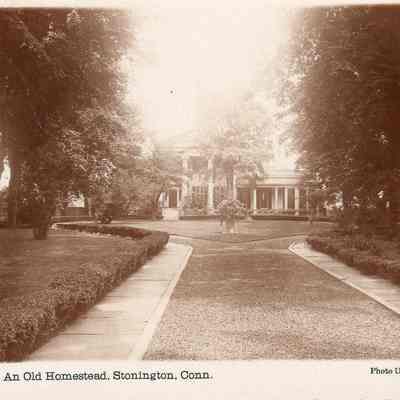 Charles Phelps Williams House