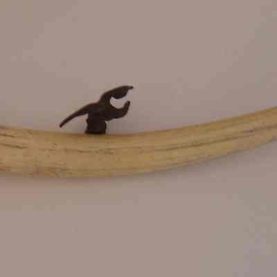 Bone, Worked