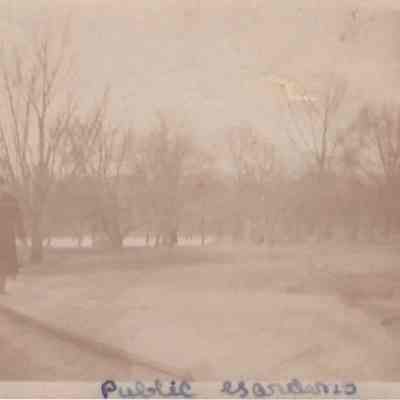 Print, Photographic