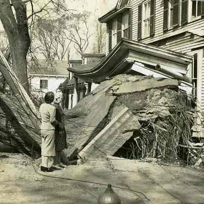 Uprooted tree in front of house