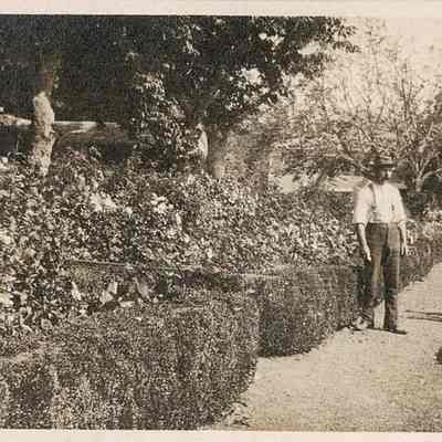 Worker in Garden, 1907