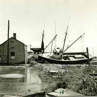 Boats washed up on shore