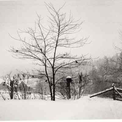 Snowy landscape