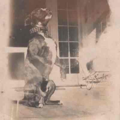 Print, Photographic