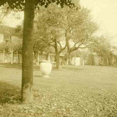 Trees with urn at "The Hill"