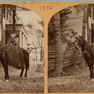 Print, Photographic