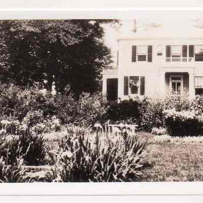 Print, Photographic