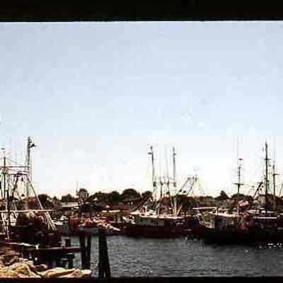 Stonington Fishing Fleet