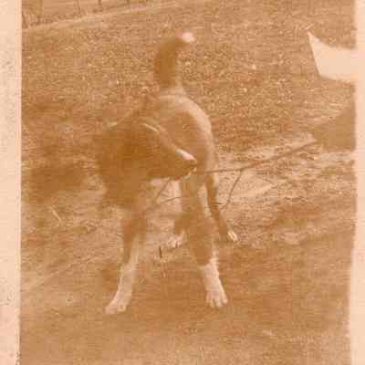 Print, Photographic