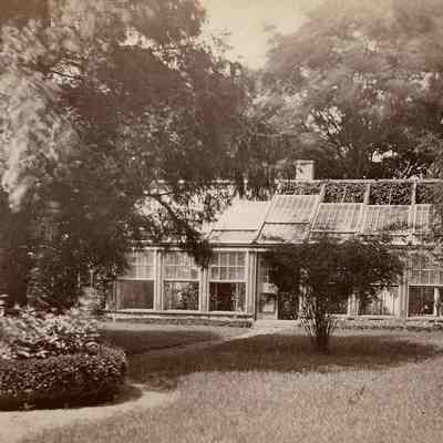 Greenhouse