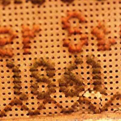 Sampler