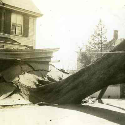 Uprooted tree that pulled up street and part of house