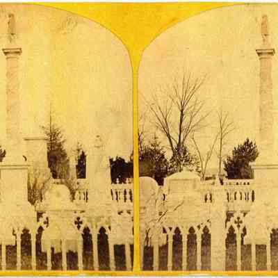 Amy family plot