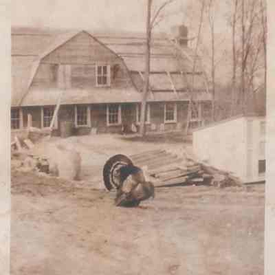 Print, Photographic
