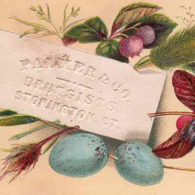 Palmer & Co. Trade Card
