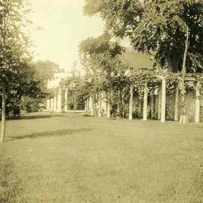 Covered walkway with vines at "The Hill"