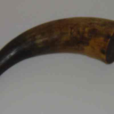 Horn, Powder