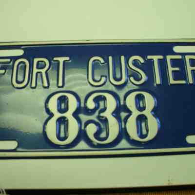 Ft Custer License Plate, Blue