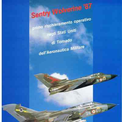 Operation Sentry Wolverine 87 Flyer