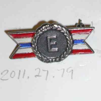 1' E Award Pin
