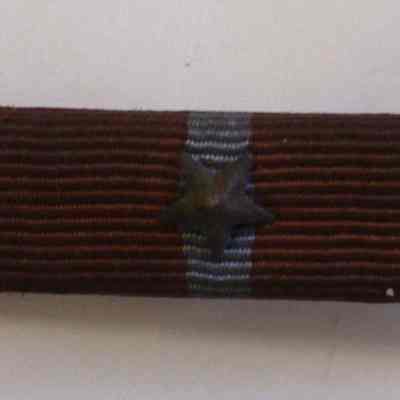 Michigan State Troops Service Ribbon