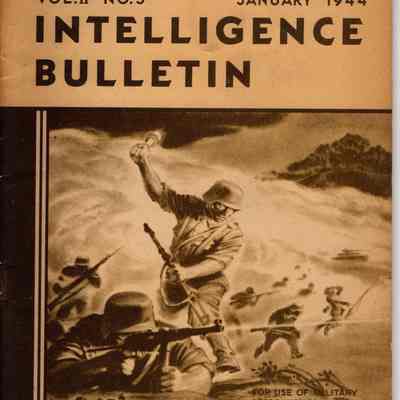 Intelligence bulletin Vol.2 No.5