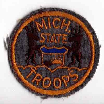 Michigan State Troops Patch